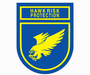 Distinctive Choice Intelligence Services